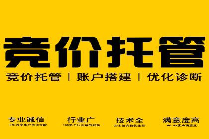XX领域竞价广告的投放策略及效果展示